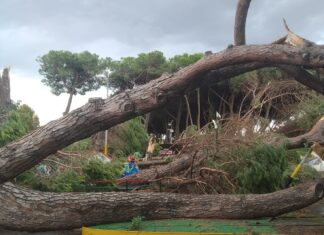 Maltempo in Toscana, Carrara proclama il lutto cittadino