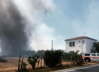 Incendio a Cecina, interrotta la circolazione dei treni