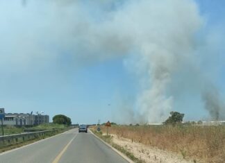 Incendio in Fi – Pi – Li zona Livorno Interporto