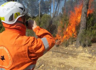 In fiamme anche Lajatico. Centinaia di ettari in fumo