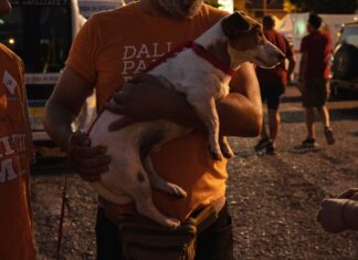 Sos incendi: la Toscana vieta la catena ai cani. Ma solo fino al 30 settembre