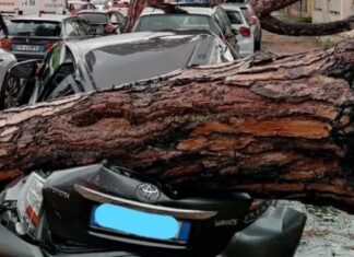 Maltempo in Toscana: due morti travolti da alberi. Feriti in camping Marina di Massa