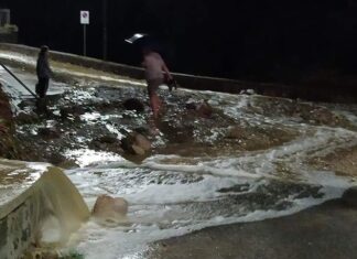 Maltempo in Toscana, danni ingenti agricoltura