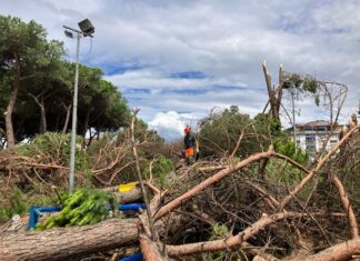 Maltempo Toscana, Giani: “L’allerta era gialla, ma il cataclisma improvviso” Danni per l'agricoltura in Toscana dovuti a nubifragi, siccità, grandine, trombe d'aria