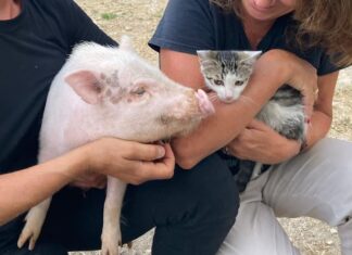 Sfattoria degli Ultimi, il silenzio degli innocenti