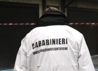 Donna uccisa in casa a Signa. Fermato il fratello Il gip di Arezzo ha convalidato l'arresto e disposto scarcerazione per Sandro Mugnai. Indagini carabinieri