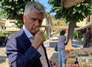 Parlamento 2022, fuori i coordinatori toscani Lega e Forza Italia