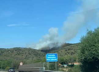 Orbetello, violento incendio. A fuoco macchia mediterranea
