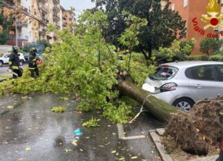 Toscana colpita da pioggia, grandine e raffiche vento a 100 km orari