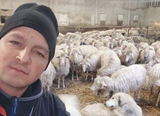 Siena, contromano uccide in superstrada un giovane di 28 anni