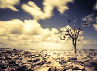 Dal caldo estremo alle inondazioni, Europa “impreparata”