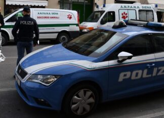 Poggibonsi, 25 cani e 9 gatti segregati per anni. Denutriti, buio e degrado