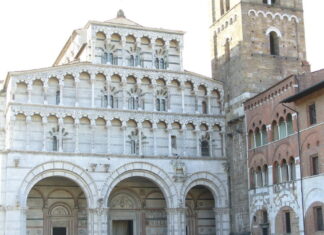 Lucca, primo caso di febbre Dengue. Disinfestazione