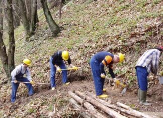 Arezzo, operai forestali sentinelle del territorio