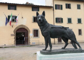 Scandicci, open day con i cani guida della Regione