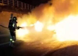 Notte di fuoco a Livorno. Morto un cane