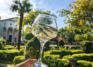 Locale di Vada al centro di diffide del Comune. Troppo rumore la sera