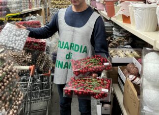 Viareggio, maxi sequestro di addobbi natalizi Sequestrate a Viareggio dalla Guardia di Finanza migliaia di decorazioni natalizie