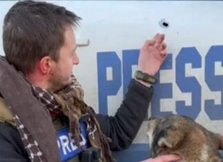 Ucraina, fotografo fiorentino sotto attacco armato. Salvo Attacco in Ucraina ai reporter italiani a bordo auto con scritta 'Press'