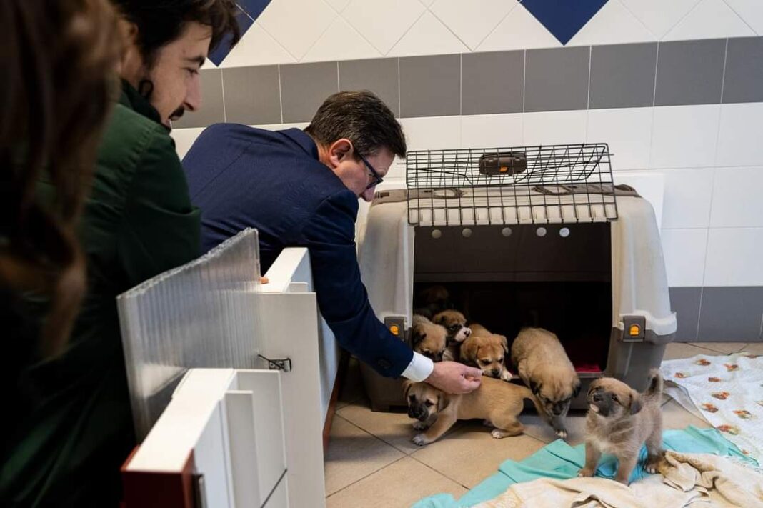 Nuovi box e nuove pensioni per cani e gatti al Parco degli Animali grazie al testamento di una signora fiorentina