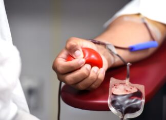 Lucca, i giovani nelle scuole per promuovere la donazione di sangue