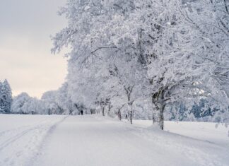 Codice giallo per neve in tutta la Toscana