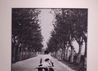 Firenze, a Villa Bardini prorogata al 26 febbraio mostra dedicata a Elliott Erwitt