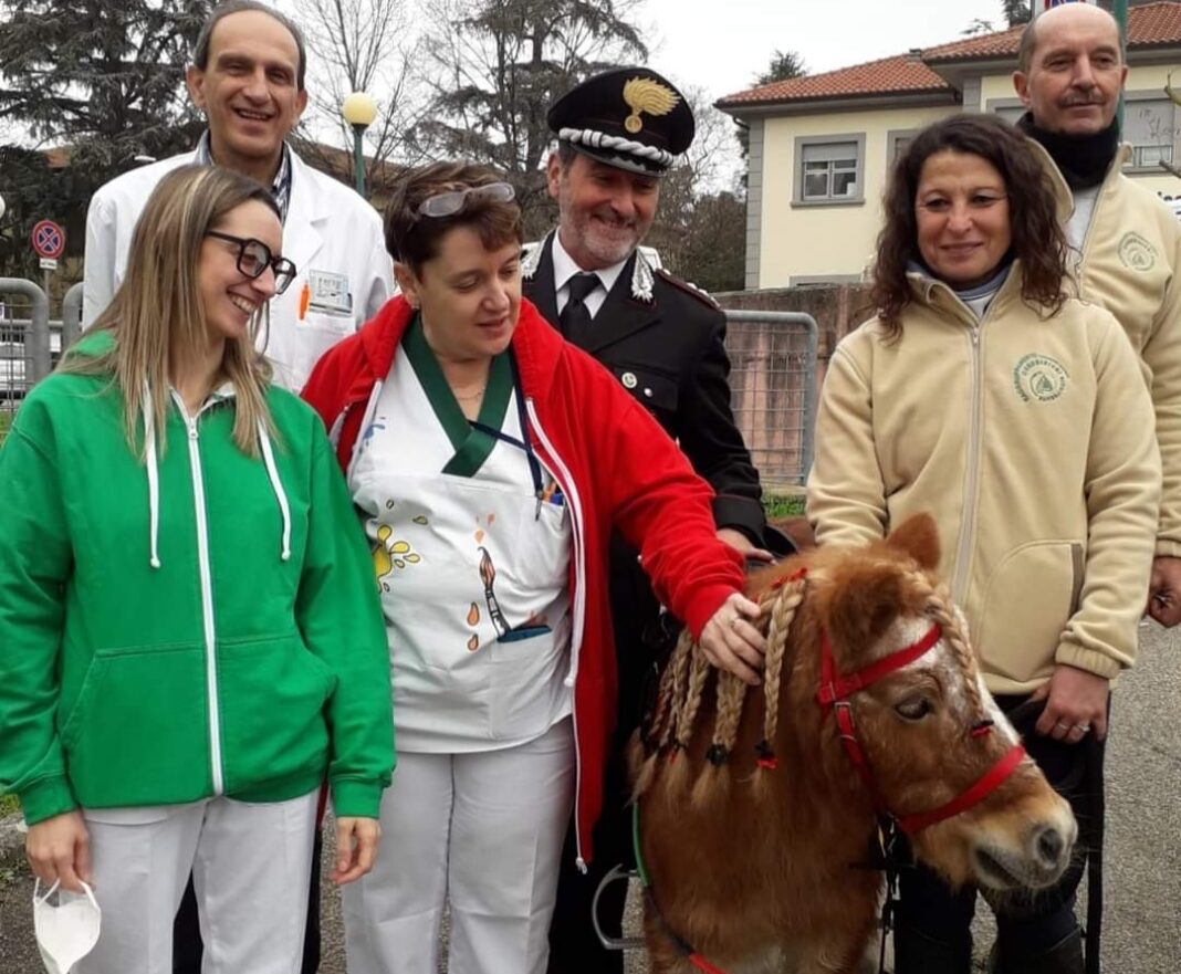 Il pony Pedro con la Befana della biodiversità dai bambini ricoverati in ospedale ad Arezzo