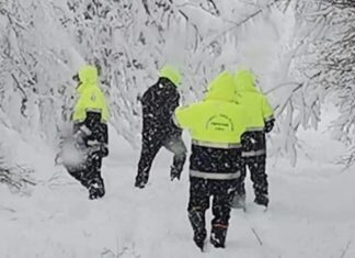 Badia Tedalda, morta nella neve insieme ai suoi tre cani Cristiana Gugu colpita da arresto cardiaco