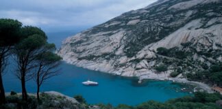 Montecristo 2026, via alle prenotazioni: solo 1.725 posti per l’isola proibita Aperte le prenotazioni per visitare l'Isola di Montecristo