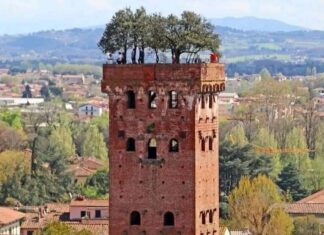 Lucca, prima l’addio su Fb. Poi il tragico salto nel vuoto da Torre Guinigi Torre Guinigi a Lucca