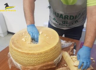 Traffico di cocaina in Toscana. Dieci arresti GdF Torino cocaina