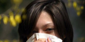 Allergie, boom con Pasquetta fuori porta, con picco pollini +25% rischio reazioni