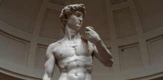 Il David di Michelangelo sulle ‘vele’ di Futuro Nazionale: è polemica David Michelangelo