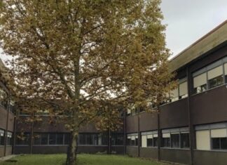 Malore in classe, muore a 17 anni a Castelfiorentino Enriques Castelfiorentino