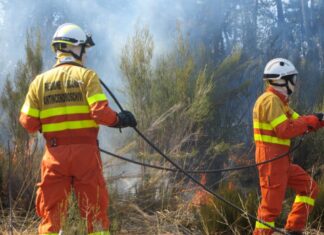 Incendi 2022, arrivano 2,7 milioni per le aziende toscane Regione Toscana Antincendi