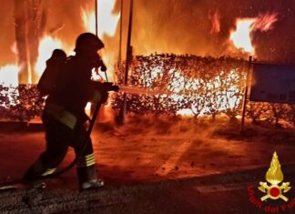 Sesto Fiorentino, a fuoco abitazione. Morti zia e nipote di 25 anni Sesto Fiorentino, a fuoco abitazione. Morti zia e nipote di 25 anni