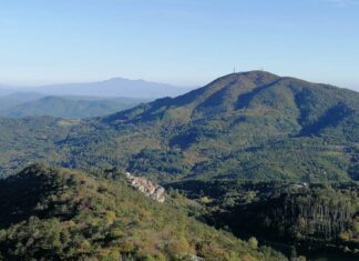 Marito e moglie trovati morti in casa a Montieri Marito e moglie trovati morti in casa a Montieri