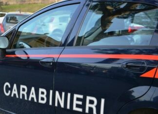 Cadavere a Scandicci. Il corpo in un canale di scolo Omicidio a Grosseto, indagata la figlia della donna uccisa
