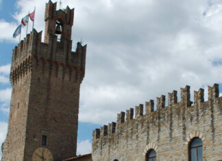 Virus Dengue, ancora un caso ad Arezzo Comune di Arezzo