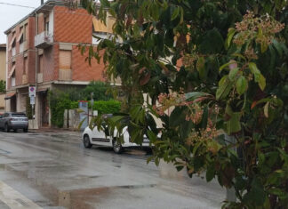 Maltempo in Toscana, nuova allerta per pioggia e vento Maltempo in Toscana, codice giallo per temporali forti