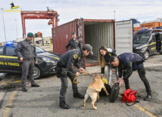 Guardia di Finanza, tutti i numeri dei reati in Toscana Guardia di Finanza, tutti i numeri dei reati in Toscana