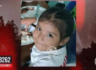 Bimba scomparsa, si visionano 1.500 telecamere di Firenze Bimba scomparsa, si visionano 1.500 telecamere di Firenze