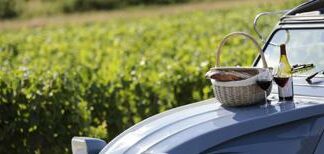 Borgogna, nel 2022 fatturato da record