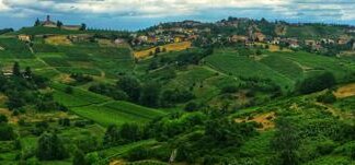Canneto Pavese: la storia secolare di un paese dove tutto ruota intorno al vino