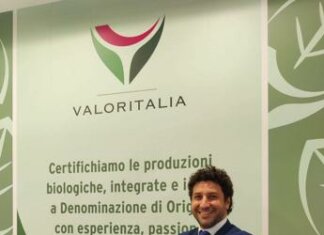 Digitalizzazione, semplificazione e transizione green delle aziende agroalimentari