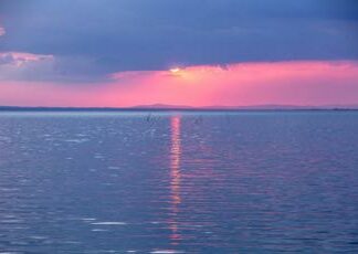 Grenaches du Monde: sette medaglie per i vini del Consorzio Trasimeno