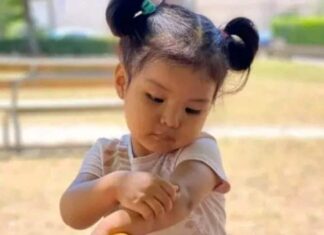 Bimba scomparsa a Firenze, un mese senza la piccola Kata Bimba scomparsa a Firenze, un mese senza la piccola Kata