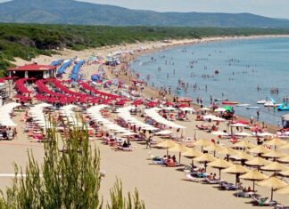 Spighe Verdi 2023, Greve in Chianti e Orbetello new entry Spighe Verdi 2023, Greve in Chianti e Orbetello new entry