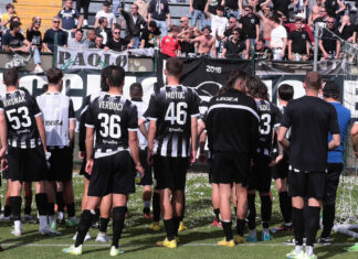 Siena Calcio, il sindaco chiede a Figc iscrizione in serie D Siena Calcio, il sindaco chiede a Figc iscrizione in serie D
